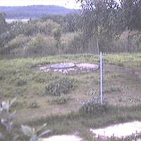 Surifarm