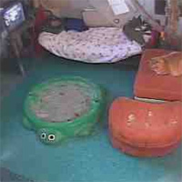 Critter Cam
