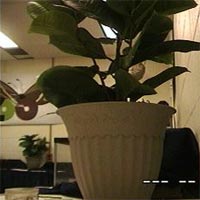 Insect Zoo Camera