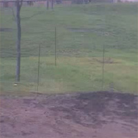 EarthCam Elephant Cam