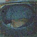 Grifter Cat Cam