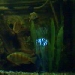 HSB Live Cam Aquarium