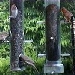 Wild Bird Feeder