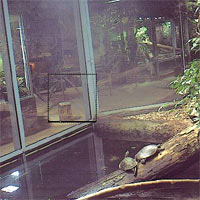 Terrarienhalle des Reptiliums Landau