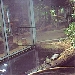 Terrarienhalle des Reptiliums Landau