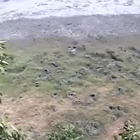 Kakadu Cam