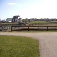 Animal Planet Horse Cam