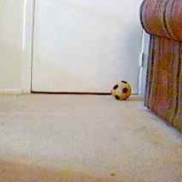Laylas Cam Page