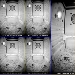 E Screech Owl Nest Box