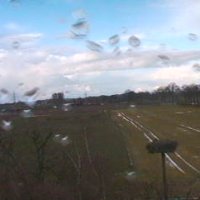 Storchencam der Osnabr�cker Zeitung