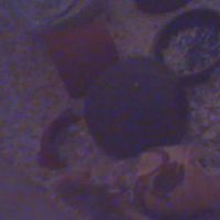 Rennmaus-Webcam