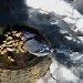Birdcam aus Kanada