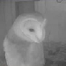 Vogelwacht Uden