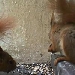 Tierpark Laufamholz
