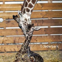Tierpark Jaderberg
