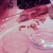 Antcam