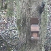 People's Postcode Lottery Squirrelcam