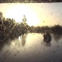 Denbury Farm Cam 2