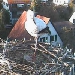 Storch in Bayern