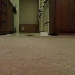 Catcam II