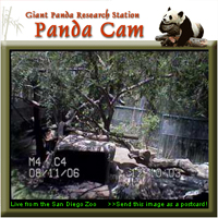 Memphis Pandas