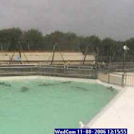 Interwad WadCAm