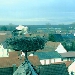 Storchencam Bornheim Ev. Kirche