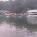 Shimoda Aquarium