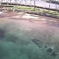 Waikoloa Live Cam