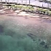 Waikoloa Live Cam