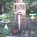 SquirrelCam.com