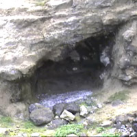 Zoo Zürich Schneeleoparden Gehege