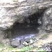 Zoo Z�rich Schneeleoparden Gehege